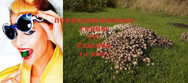 героин Алексин