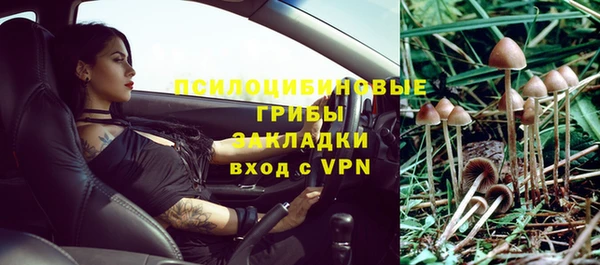 ALPHA-PVP Алексеевка