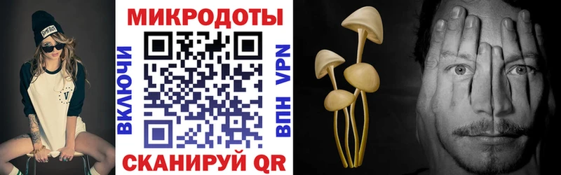 купить наркоту  Миасс  Галлюциногенные грибы Psilocybe 